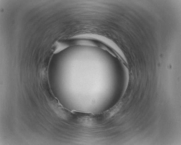 X0000081490276200701262101