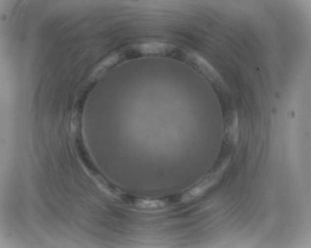 X0000081490277200701262101