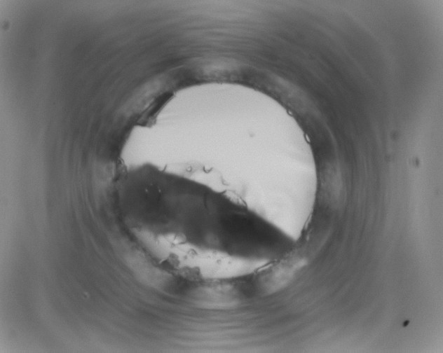 X0000081490278200701262101