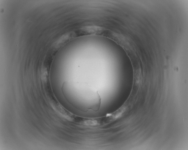 X0000081490279200701262101