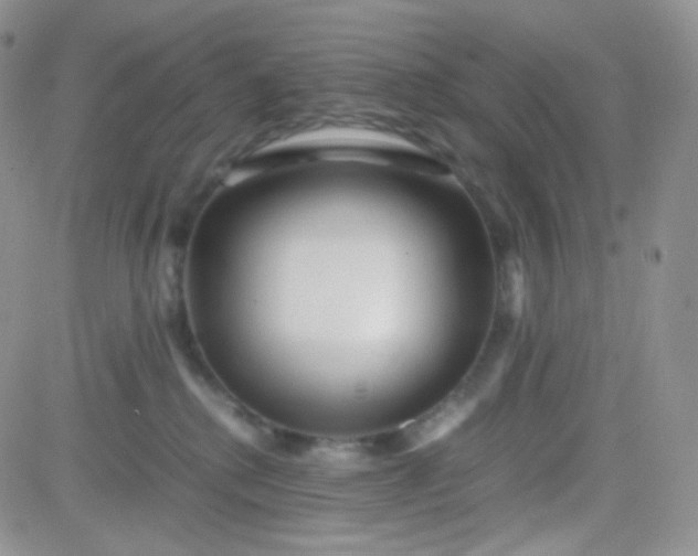 X0000081490280200701262101