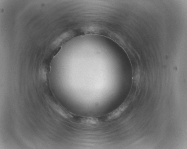 X0000081490282200701262101