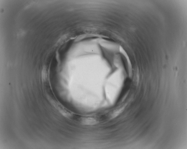 X0000081490287200701262101