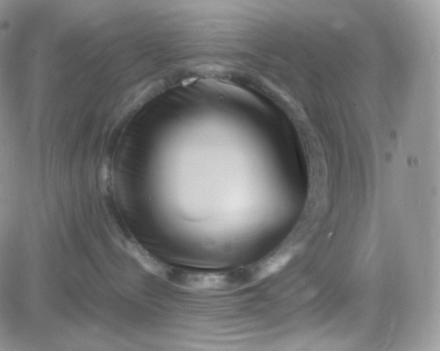 X0000081490288200701262101