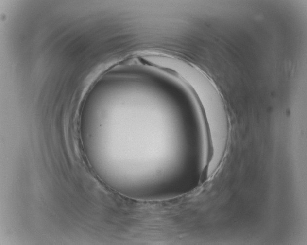 X0000081490289200701262101