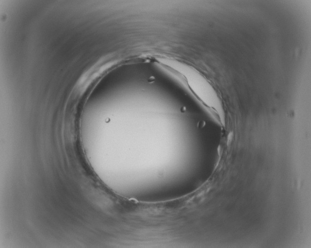 X0000081490291200701262101