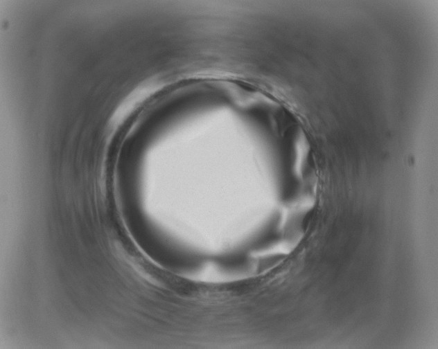 X0000081490296200701262100