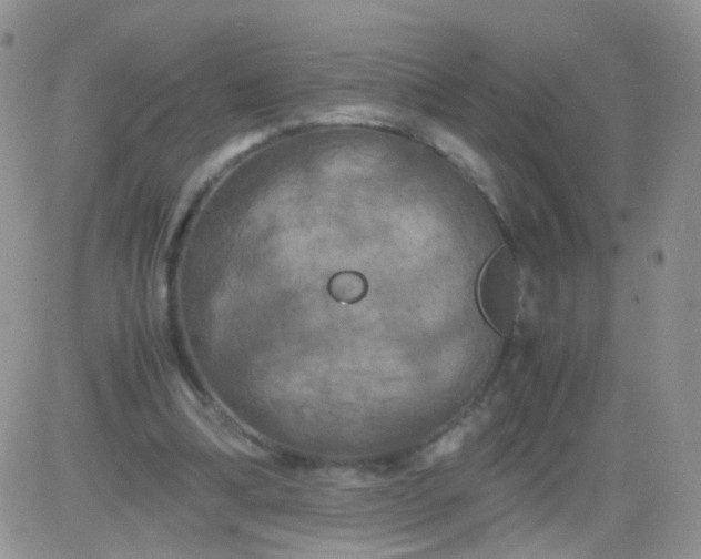 X0000081490298200701262100