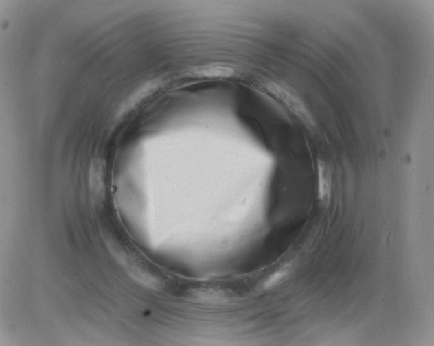 X0000081490300200701262100