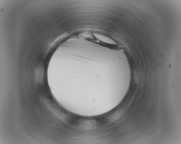 X0000081490304200701262100