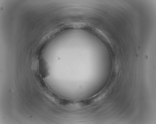 X0000081490307200701262100