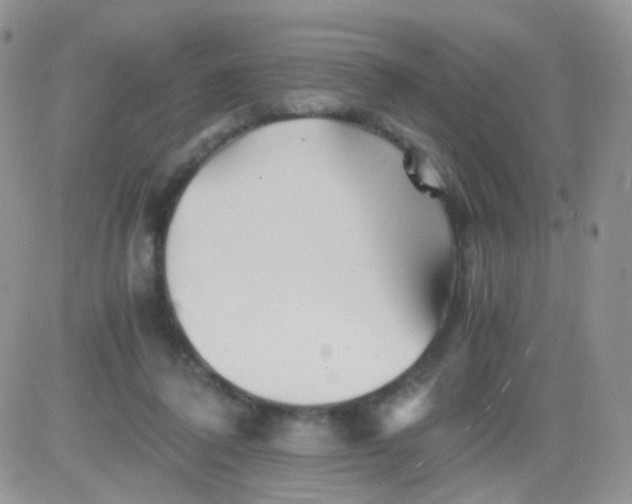 X0000081490308200701262100