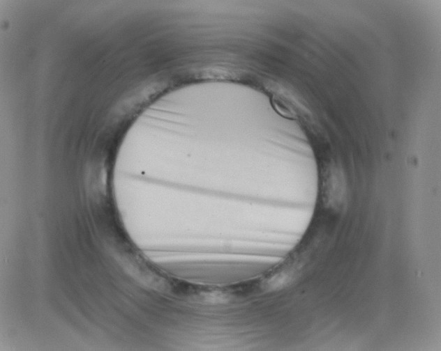 X0000081490310200701262100