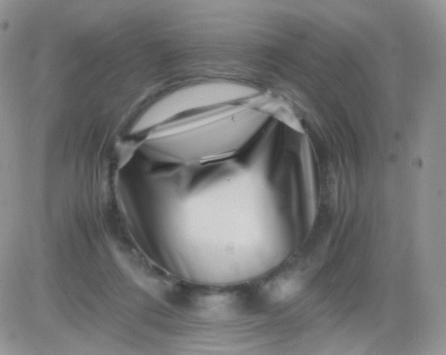 X0000081490312200701262100