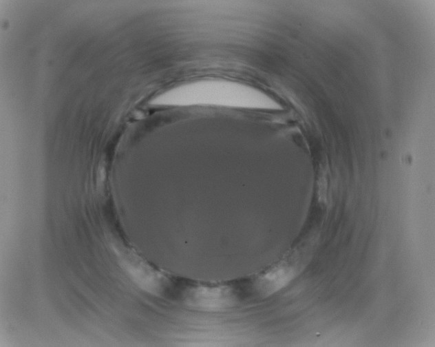 X0000081490314200701262100