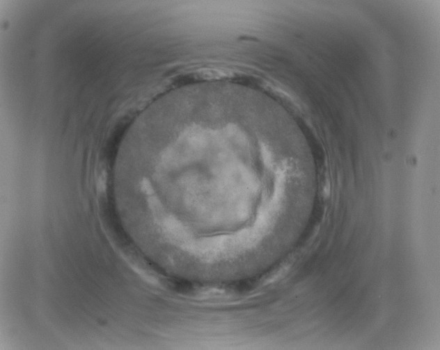 X0000081490315200701262100