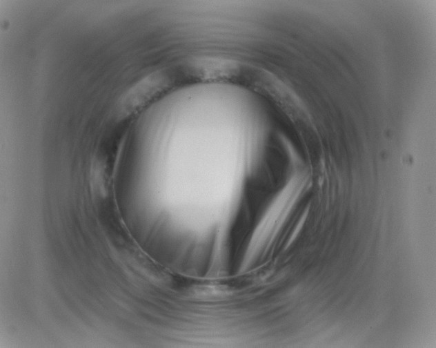 X0000081490316200701262100