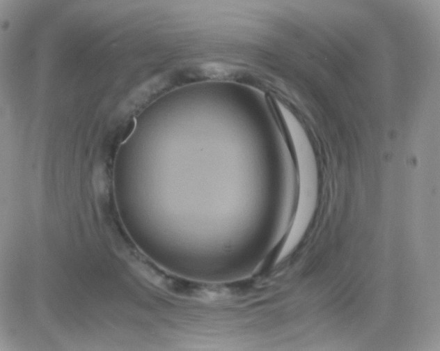 X0000081490317200701262100