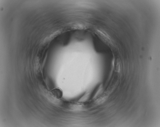 X0000081490318200701262100