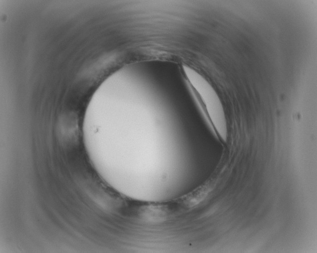 X0000081490320200701262100