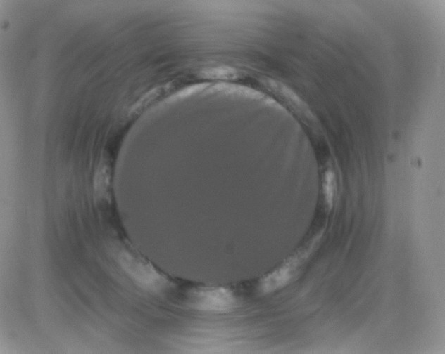 X0000081490322200701262100