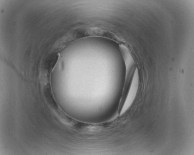 X0000081490323200701262100