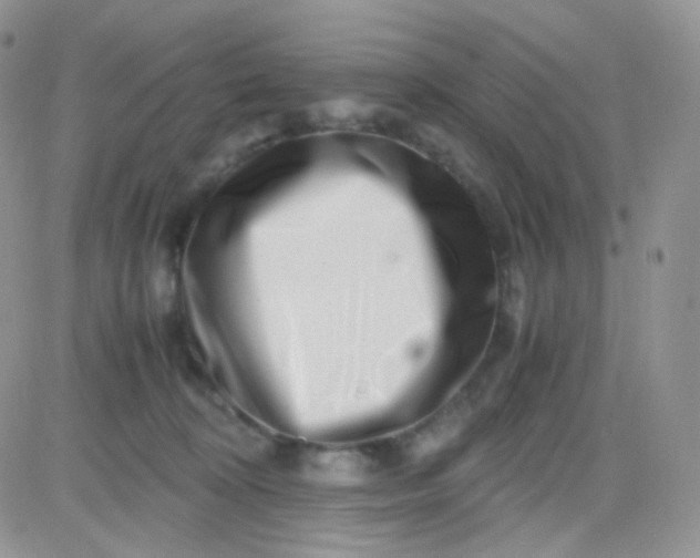 X0000081490324200701262100