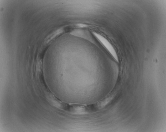 X0000081490325200701262100