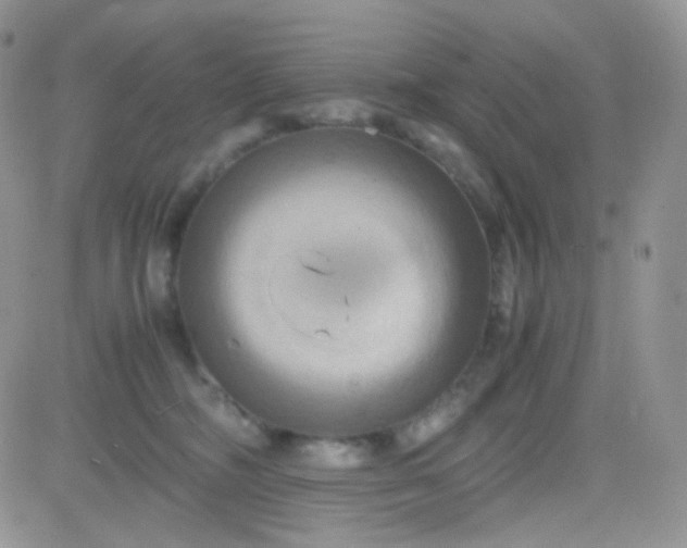 X0000081490326200701262100