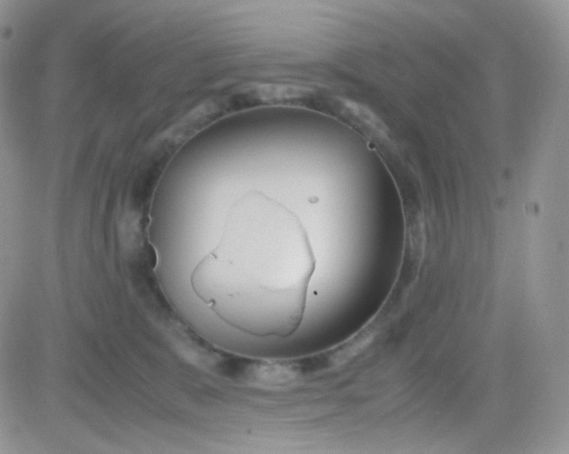 X0000081490327200701262100