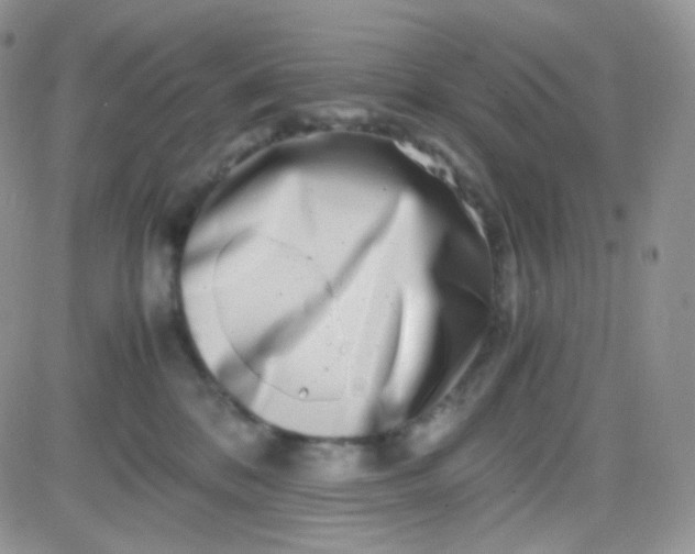 X0000081490328200701262100