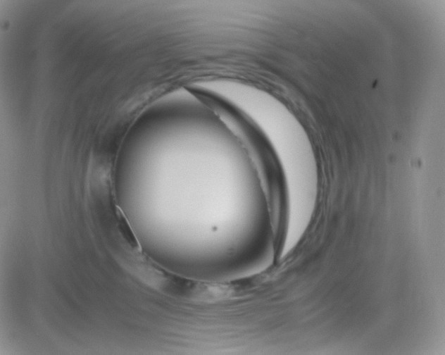 X0000081490329200701262100