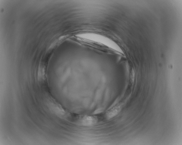 X0000081490330200701262100