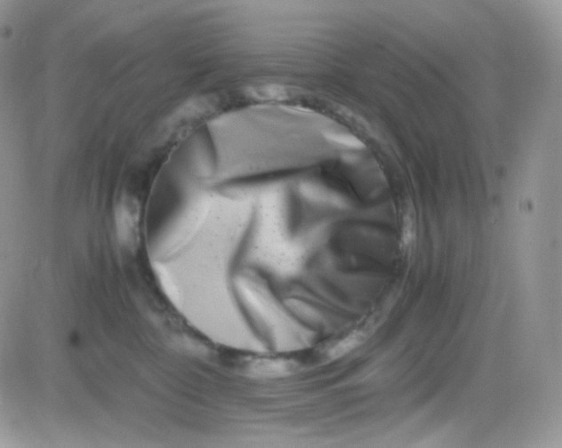 X0000081490332200701262100