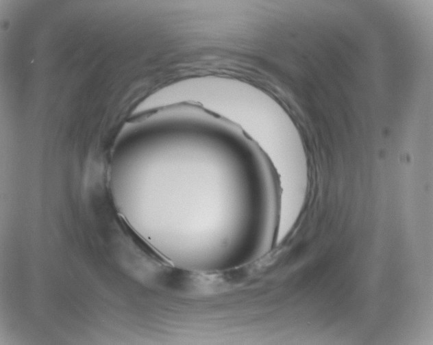 X0000081490333200701262100