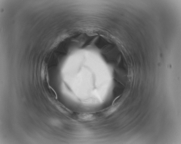 X0000081490334200701262100