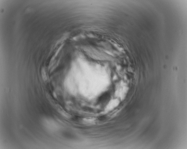 X0000081490335200701262100