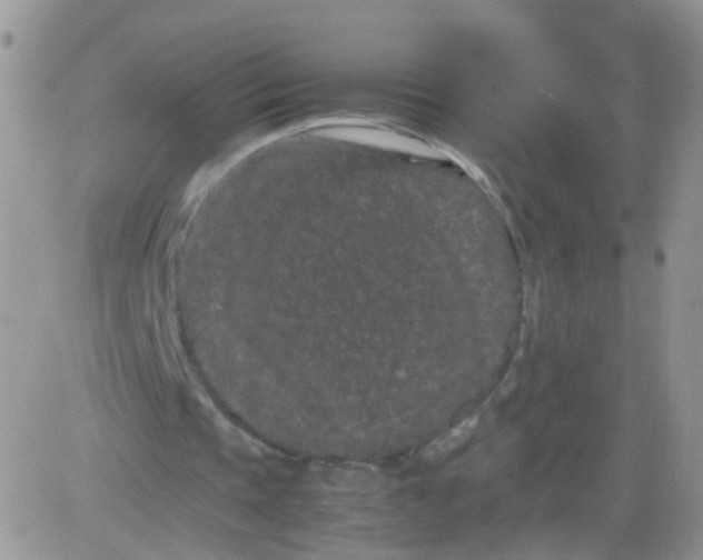 X0000081490337200701262059