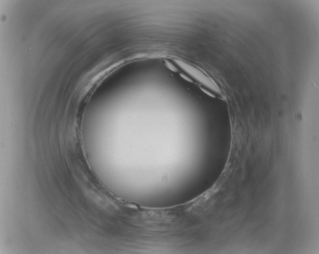 X0000081490338200701262059