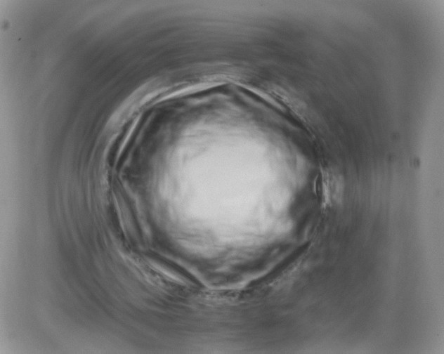 X0000081490339200701262059