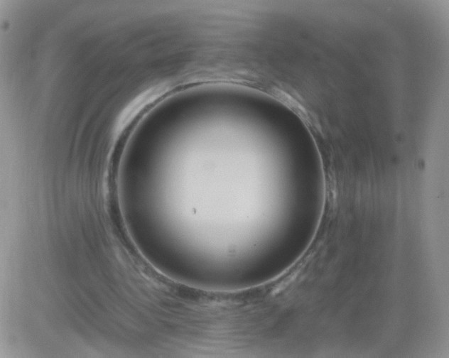 X0000081490340200701262059