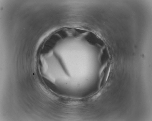 X0000081490342200701262059