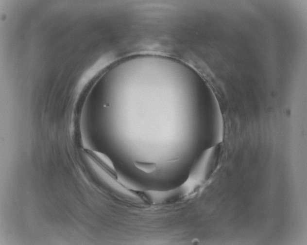 X0000081490344200701262059