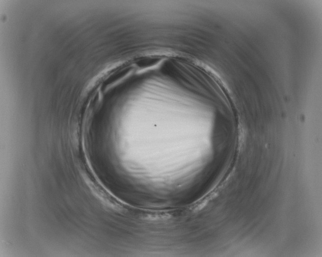 X0000081490345200701262059