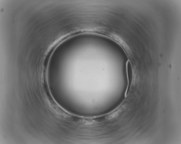 X0000081490346200701262059