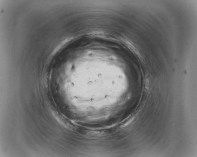 X0000081490347200701262059