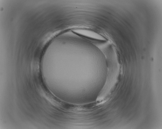 X0000081490348200701262059