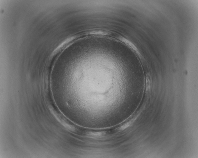 X0000081490349200701262059