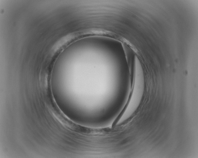 X0000081490350200701262059