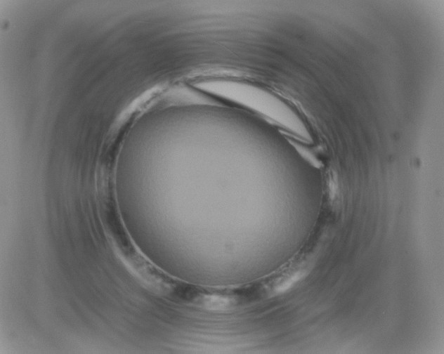 X0000081490352200701262059